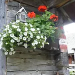 B&b,bergheimat Oase Отель типа 