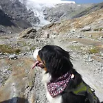 B&b,bergheimat Oase לינה וארוחת בוקר *