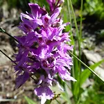 B&b,bergheimat Oase * Irschen