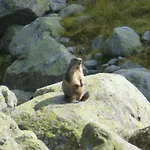 B&b,bergheimat Oase *