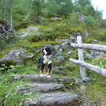 B&b,bergheimat Oase לינה וארוחת בוקר *