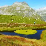 לינה וארוחת בוקר B&b,bergheimat Oase