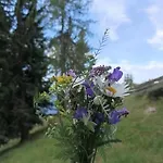 B&b,bergheimat Oase * Irschen