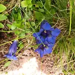 B&b,bergheimat Oase לינה וארוחת בוקר Irschen