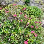 B&b,bergheimat Oase * Irschen