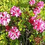 B&b,bergheimat Oase לינה וארוחת בוקר Irschen