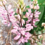 B&b,bergheimat Oase לינה וארוחת בוקר