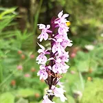 B&b,bergheimat Oase *