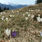 B&b,bergheimat Oase Irschen