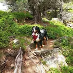 לינה וארוחת בוקר B&b,bergheimat Oase