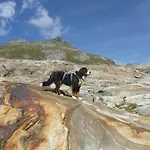 B&b,bergheimat Oase לינה וארוחת בוקר *