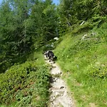 B&b,bergheimat Oase *