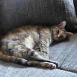 B&b,bergheimat Oase Irschen