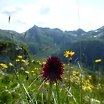 לינה וארוחת בוקר B&b,bergheimat Oase Irschen