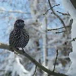 B&b,bergheimat Oase לינה וארוחת בוקר *