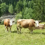 B&b,bergheimat Oase לינה וארוחת בוקר