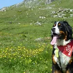 לינה וארוחת בוקר B&b,bergheimat Oase Irschen