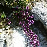 B&b,bergheimat Oase *