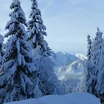 לינה וארוחת בוקר B&b,bergheimat Oase *