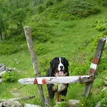 B&b,bergheimat Oase *