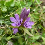 B&b,bergheimat Oase Irschen