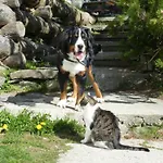 B&b,bergheimat Oase לינה וארוחת בוקר