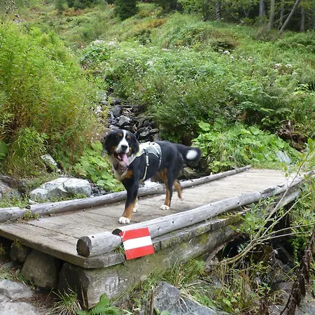 B&b,bergheimat Oase * Irschen