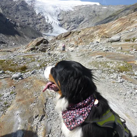 B&b,bergheimat Oase B&B *