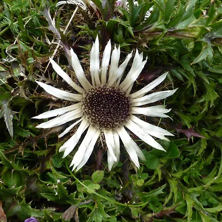 B&b,bergheimat Oase B&B Irschen