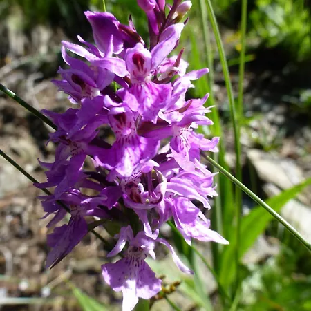 B&b,bergheimat Oase * Irschen