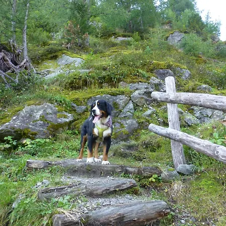 B&b,bergheimat Oase B&B *