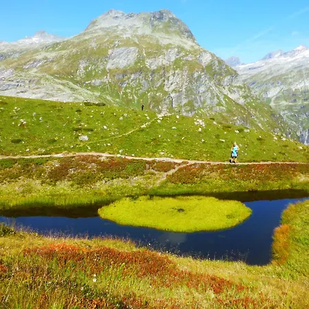 ベッド・アンド・ブレックファスト B&b,bergheimat Oase