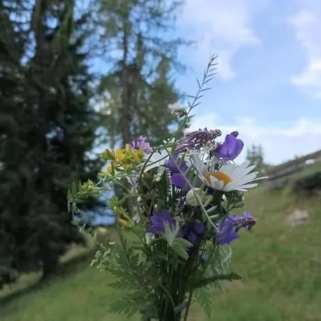 B&b,bergheimat Oase * Irschen