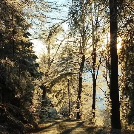 B&b,bergheimat Oase Irschen