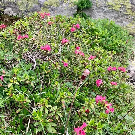 B&b,bergheimat Oase * Irschen