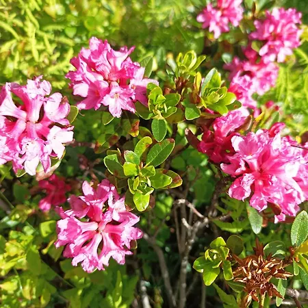 B&b,bergheimat Oase B&B Irschen