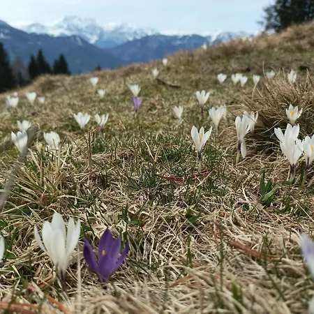 B&b,bergheimat Oase Irschen