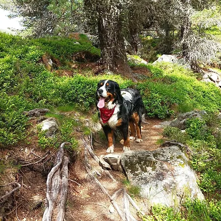 B&B B&b,bergheimat Oase