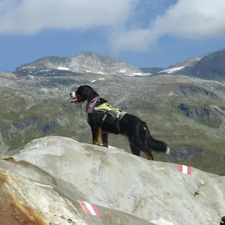 Nocleg ze śniadaniem B&b,bergheimat Oase Irschen
