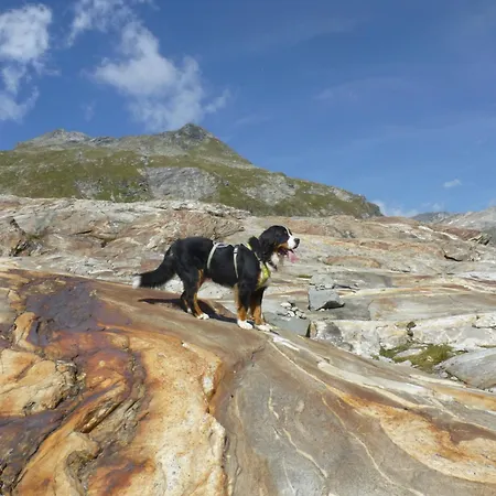 B&b,bergheimat Oase B&B *