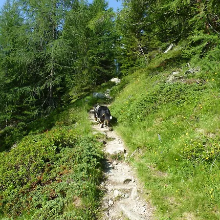 B&b,bergheimat Oase *