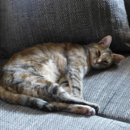 B&b,bergheimat Oase Irschen