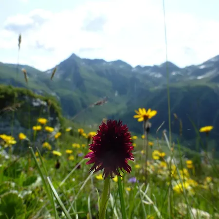 B&B B&b,bergheimat Oase Irschen