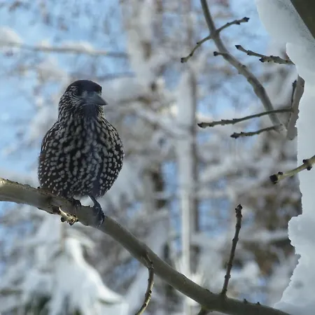 B&b,bergheimat Oase ベッド・アンド・ブレックファスト *