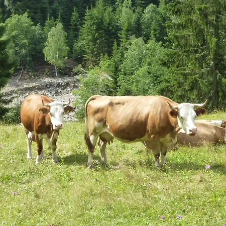 B&b,bergheimat Oase B&B