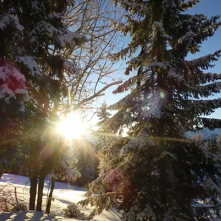 B&b,bergheimat Oase ベッド・アンド・ブレックファスト Irschen