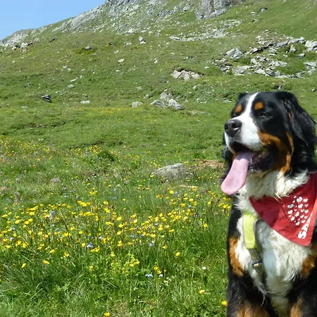 ベッド・アンド・ブレックファスト B&b,bergheimat Oase Irschen