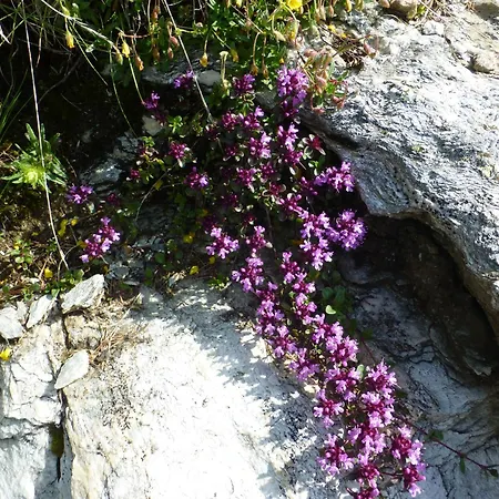 B&b,bergheimat Oase *