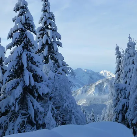 ベッド・アンド・ブレックファスト B&b,bergheimat Oase *