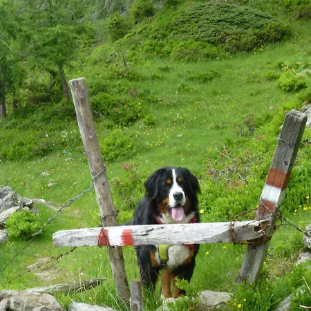 B&b,bergheimat Oase *